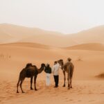 Marrakech desert tour 4 days