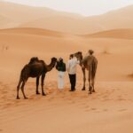 Marrakech desert tour 4 days