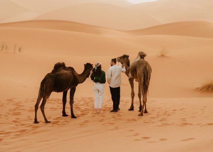 Marrakech desert tour 4 days