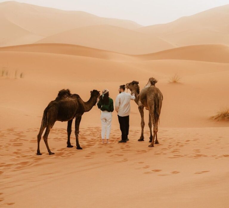 Marrakech desert tour 4 days