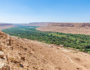 3 days fes to marrakech desert tour