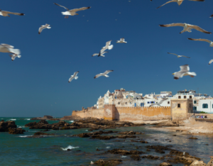 10 days private tour from tangier