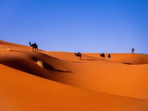 5 days desert tour from agadir to marrakech