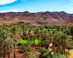 5 days desert tour from agadir to marrakech