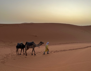 Fes to Marrakech desert tour 4 days