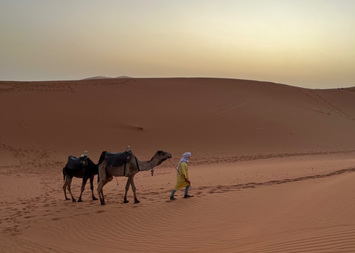 Fes to Marrakech desert tour 4 days