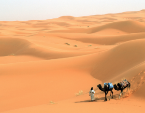 8 Days Marrakech desert tour