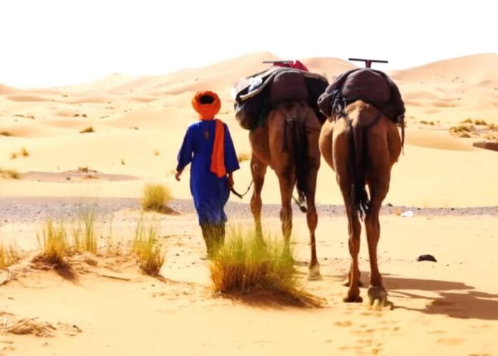 things to do in merzouga desert