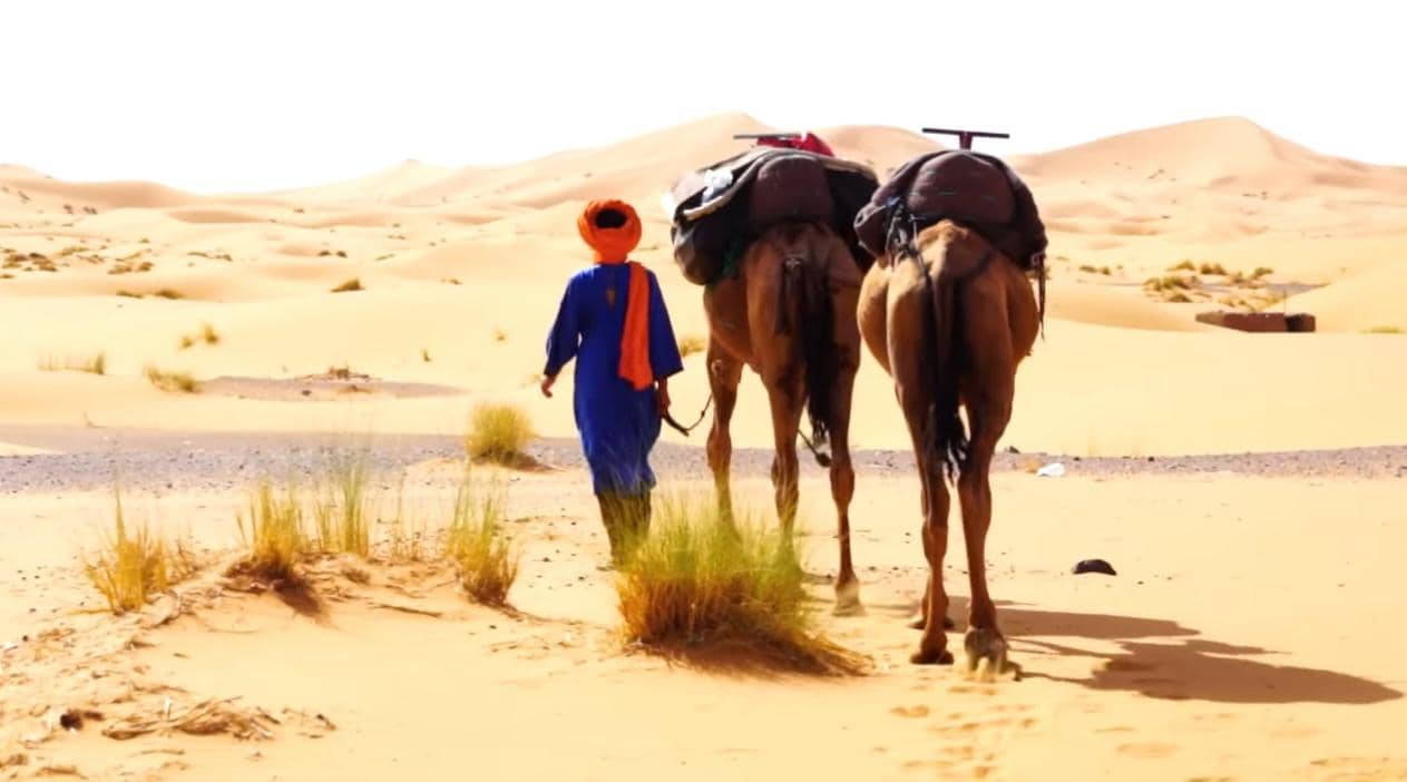 things to do in merzouga desert