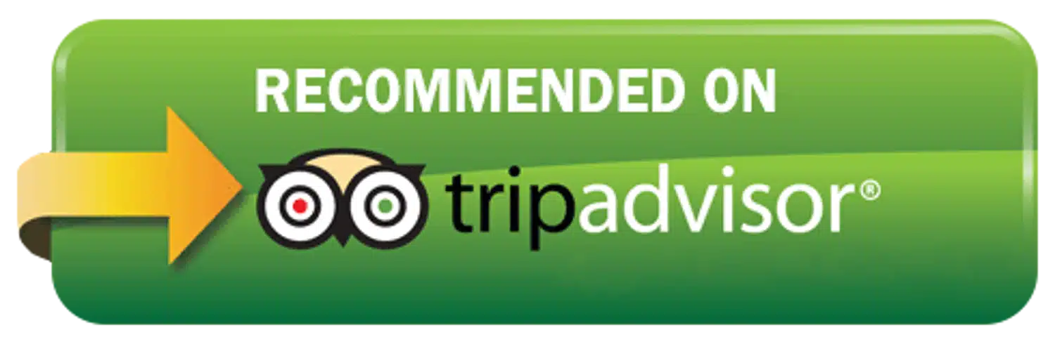 TripAdvisor Logo