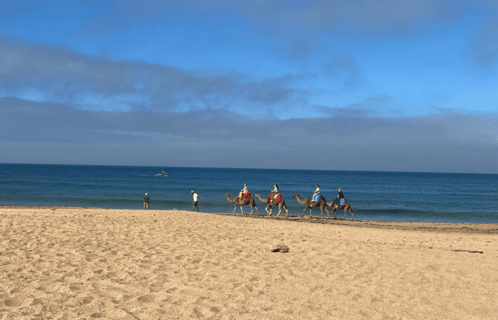 photo of day trip to Essaouira