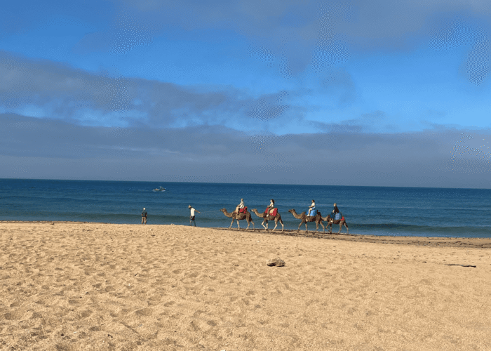photo of day trip to Essaouira